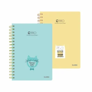 Sổ Caro lò xo kép B5¯ 200 trang 120/76; MS: 297 – ảnh sản phẩm
